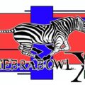 Collaborazione con il ZEBRABOWL austriaco